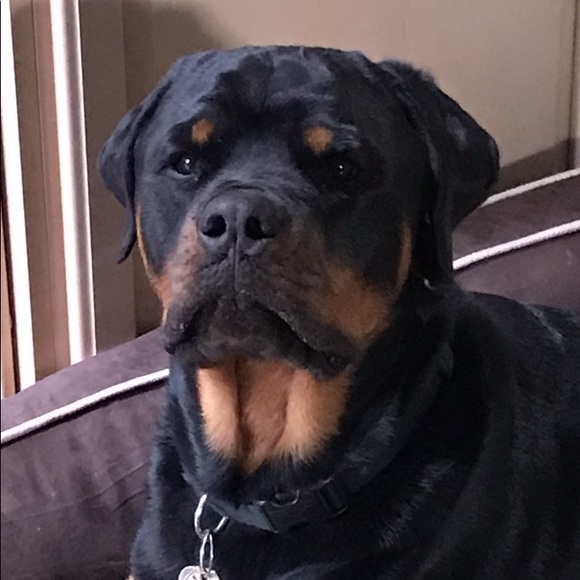 Meet your Posher, Christine - Picture 5 of 7